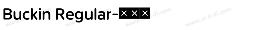 Buckin Regular字体转换